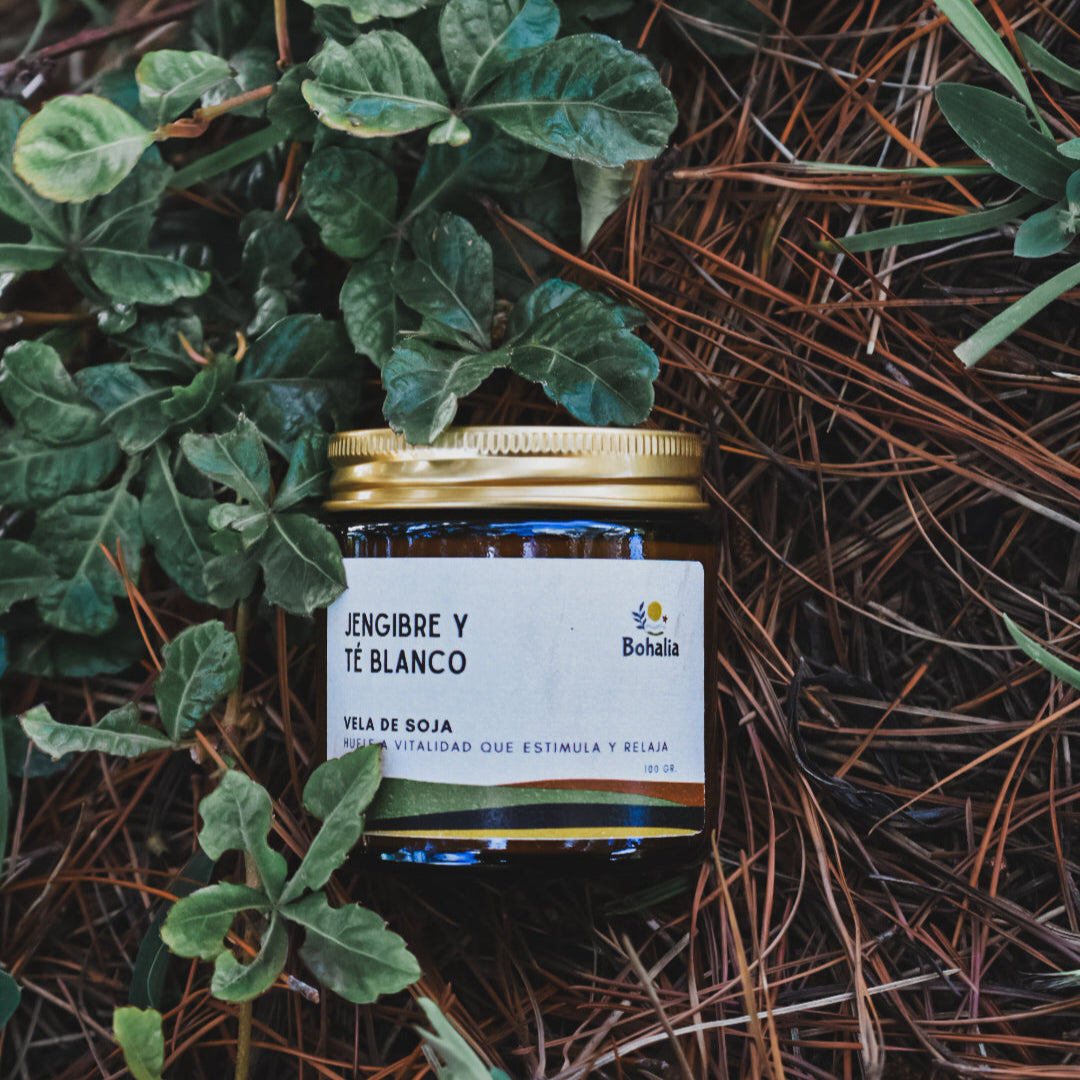 Home Spray Jengibre & Té Blanco